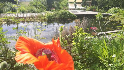 Apartment Green Elephant - Foto 4, Garden view