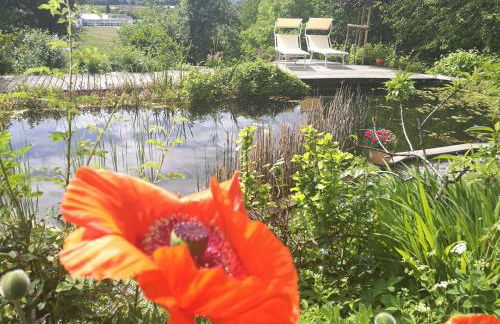 Apartment Green Elephant - Foto 4