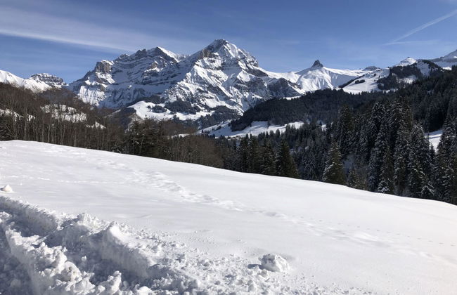 Sunnegruess - Foto 24