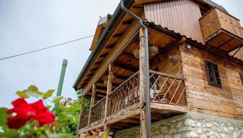 Vila Trnoružica - Foto 3