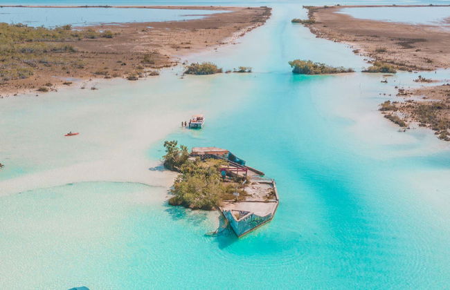 Paseo en lancha por la laguna Bacalar - Foto 6