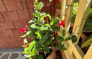 villino Morena - Foto 36