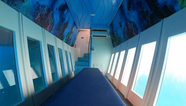 L'ippopotamo sottomarino giallo nella gita mattutina di Rodi - Foto 3