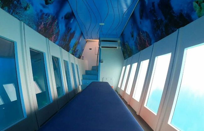 L'ippopotamo sottomarino giallo nella gita mattutina di Rodi - Foto 3