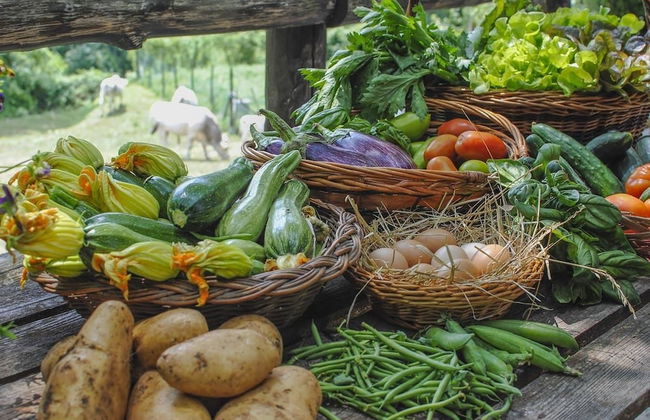 Agriturismo La Ferrera - Foto 17