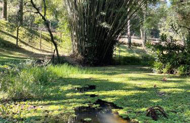 Memora Guesthouse Bateias - Casa Inteira e quartos em chácara - Photo 71