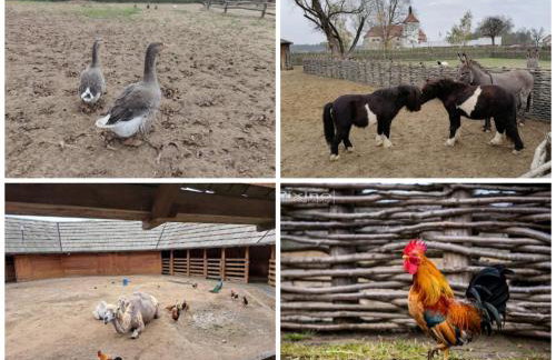 Apartman Batuda,moderno opremljen apartman u centru Đurđevca, u cijeni WELLNESS, sauna, bazen u obližnjem hotelu, mini zoo, 5G internet, R1 račun - Foto 31