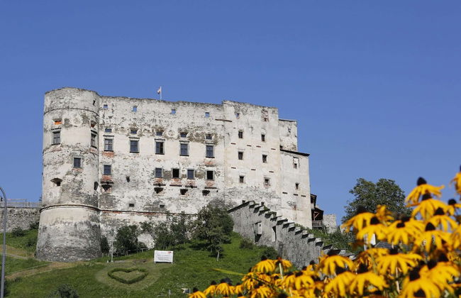 Holiday Home in Katschberg ski Area in Carinthia - Foto 22