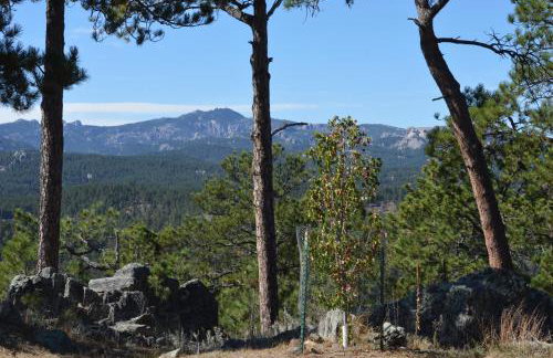 Ponca Lode Retreat - Foto 51