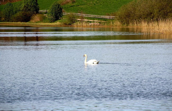 Bedder at Oslo Airport - Foto 36