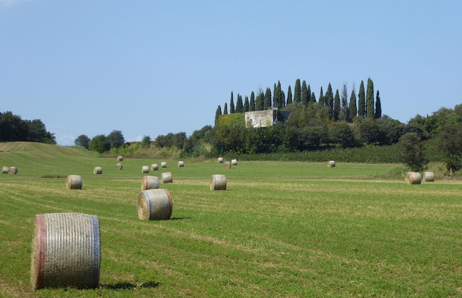 Family Retreat Near Garda - Photo 40