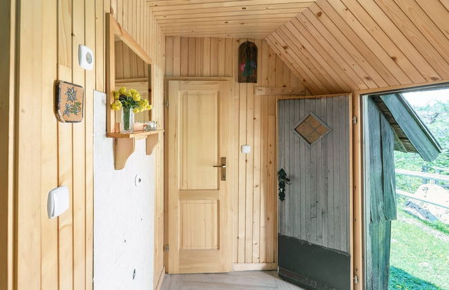 To Fall In Love - Chalet Zlatica - Velika Planina - Foto 13