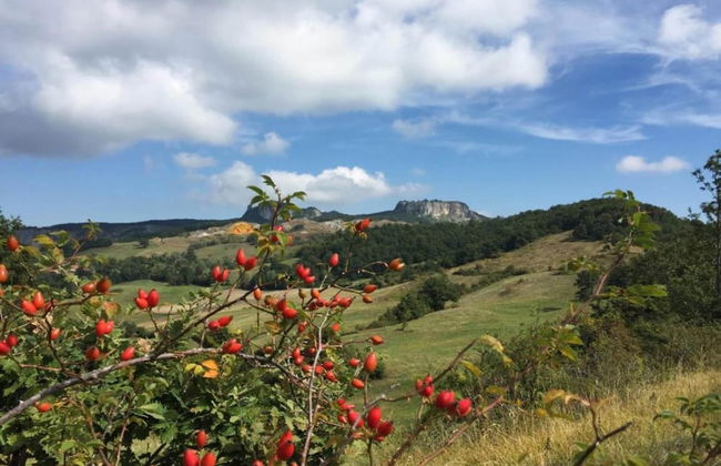 Tranquil Farmhouse in Sestino - Photo 40