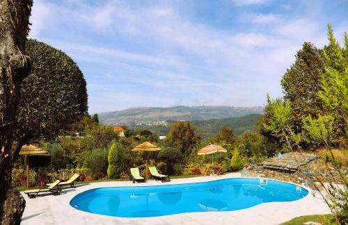 Sonho Verde - Foto 1