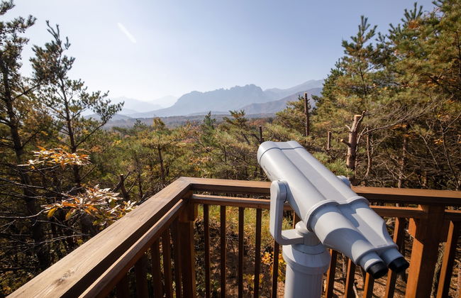 Kensington Resort Seorak Valley - Foto 55