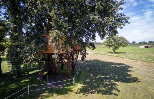 Agriturismo Relais Tenuta il Cigno - Foto 128