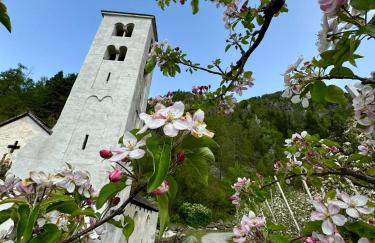 Ferienwohnungen JoJaSa - Foto 12