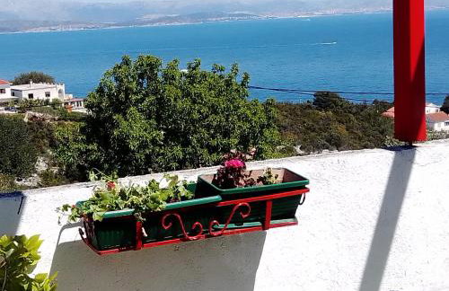 Apartments with parking space Grohote, Solta - 23166 - Foto 17