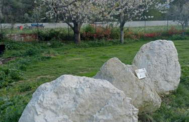 Abruzzo - Teramo tra Mare e Monti - Foto 20