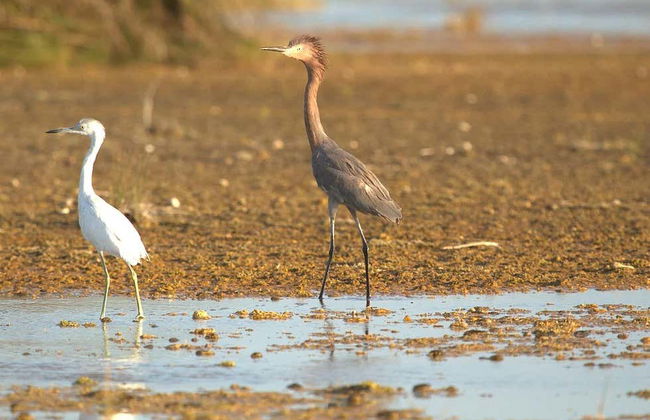 Bacalar Lagoon Private Sailing Trip - Photo 3