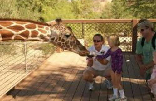 Designer 5 Bd Home, Fountain Pool, Spa, Game Patio - Foto 56