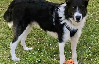 Domus Laetitiae Santa Croce - Foto 30