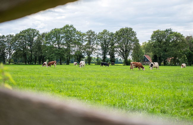 Cozy Apartment in Enschede Near Forest - Photo 63