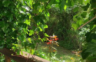 Casa de Campo - Casa da Ribeira - Foto 21