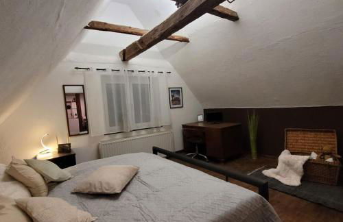 Pension - Ferienwohnung K&M - Foto 16