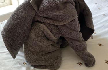 Fabulous 2 bed Historic Ground floor apartment Belper with free car parking next to property - Foto 38