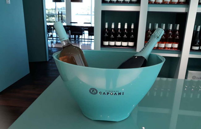 Tour de bodegas del Vale dos Vinhedos - Foto 6