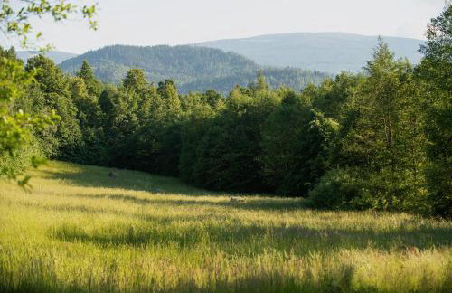 Górnolotnie koło Karpacza - Foto 37
