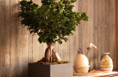 Arcadia Agriturismo - Foto 11