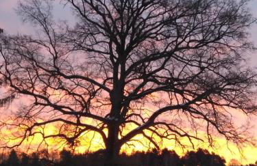 Villa Duck-Dich-Südheide - Photo 44