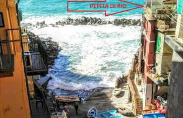 Pepita di Rio - Foto 25