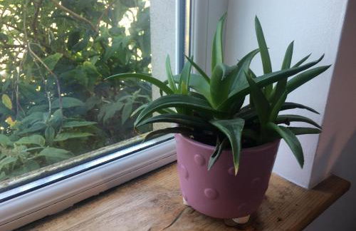 Driftwood Loft - Foto 9