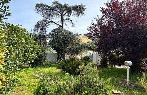 Giardino a Mare - Foto 31