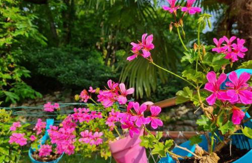 Zgora mora-above the sea-peacefull,family frendly - Foto 45