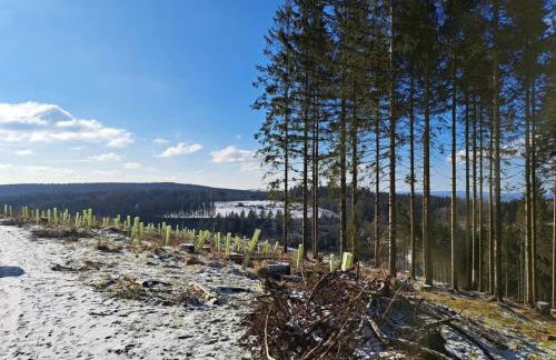 Apart Bellagast - Foto 32