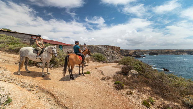 Un tranquilo paseo a caballo para desconectar