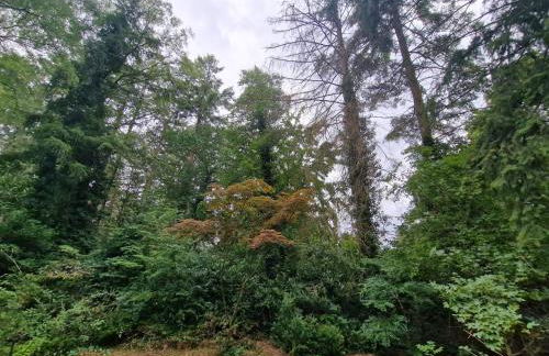 Ferienhaus Thymian in Hatten bei Oldenburg - Idyllische Waldlage - Foto 59