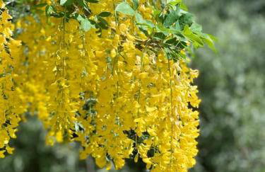 Luxury house with pool and hot tub - sleeps 16 - Foto 38