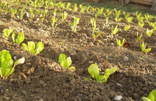 Agriturismo Ponterosa - Foto 72