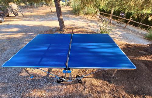 El Encinar de Cobo - Foto 24