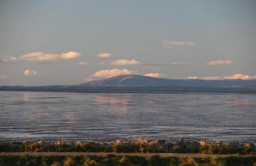 Dolphin House - Foto 9