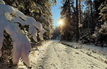 Ferienhaus Robin - Foto 37