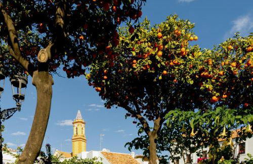 Casa del Patio - Boutique Apartments - Photo 49