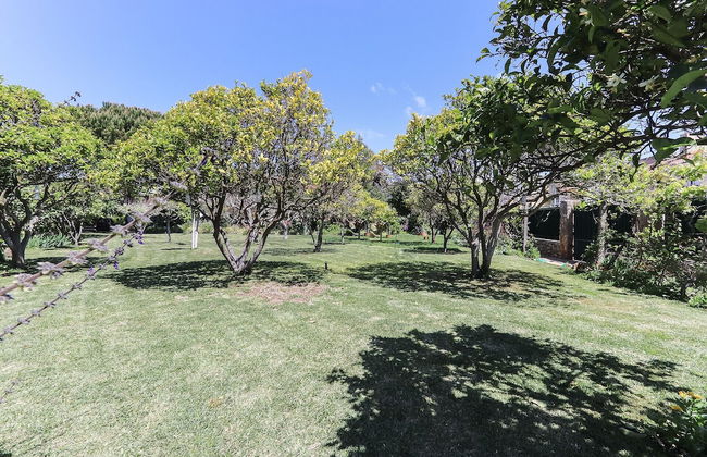 Guincho Typical House II by Homing - Photo 31