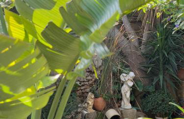 House of sunset 2 Sivas - Photo 36