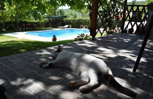 Wooden cottage with private pool near to sea - Foto 32